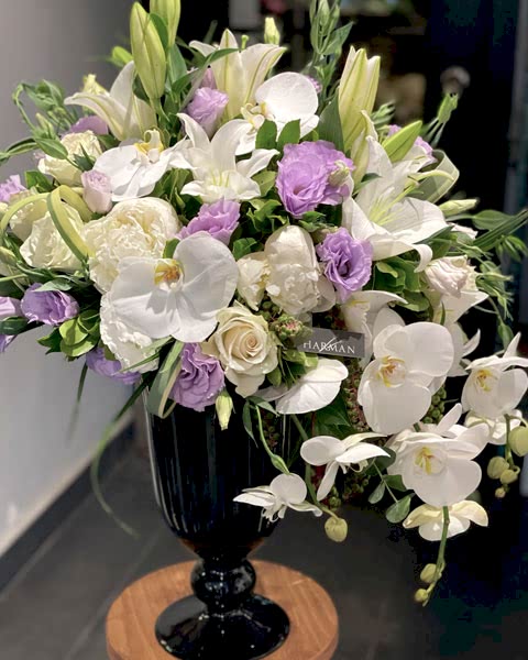 Gösterişli Tasarımlar