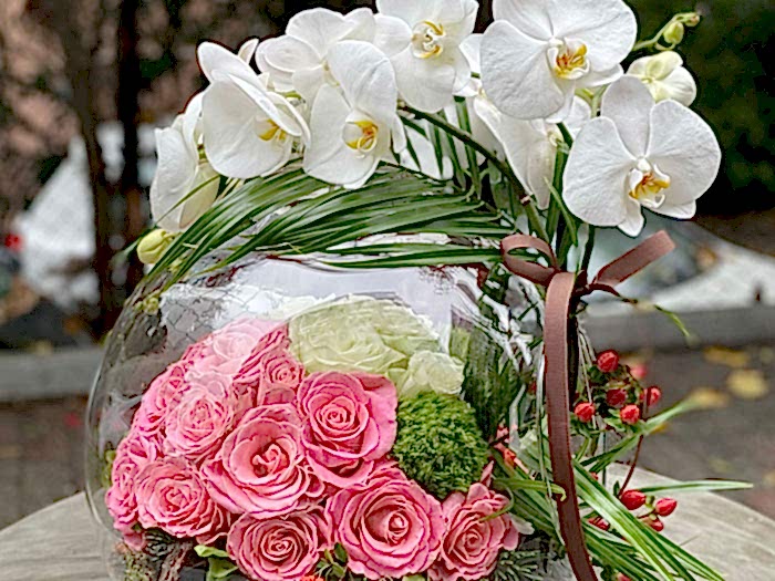 Estettik Tasarımlar